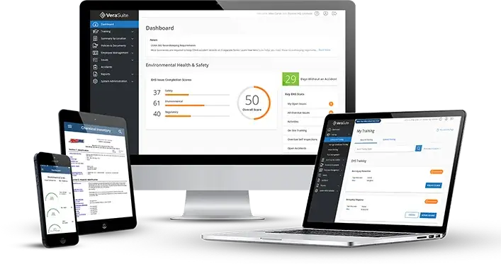 Comparison of B2B and B2C websites, illustrating differences in design, functionality, and target audience.