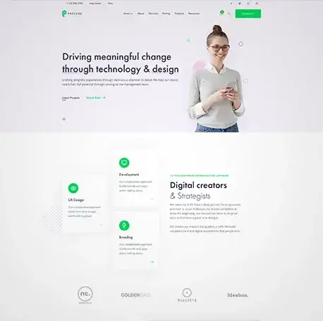 Professional website design and development showcasing responsive design, user-friendly interface, and modern web technologies
