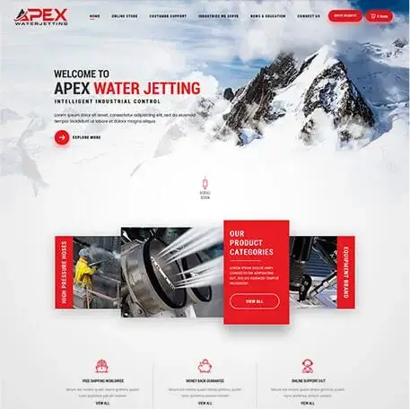 Professional website design and development showcasing responsive design, user-friendly interface, and modern web technologies